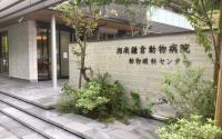 湘南鎌倉動物病院 動物眼科センター