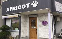 ドッグズトリミングアプリコット 藤沢村岡店