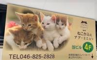 ねこかふぇ ププ・ミニョン