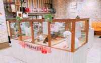 JOKER WANCOTT店 ジョーカーワンコット店　～元町・中華街～
