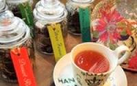 Botanic Peace ボタニックピース【小型犬、おひとり1頭まで店内OK☆】～大倉山～