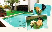 ダイヤモンド　ドギーズパーク箱根【大型犬OK☆】～箱根～