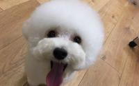 関内どうぶつサロンBran ブラン　～関内～