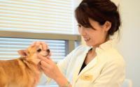 Grooming Salon KenN　グルーミングサロンケン～元町～