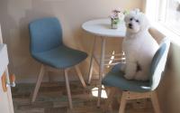 Dog Salon One Leaf      専門家も驚く感染症等にも耐え生命力を高めるサプリメント　ワンちゃんも飼い主様も奇跡は起こる‼︎