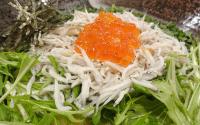 Jパスタ 元町本店　JPASTA【テラス席はペット同伴OK】～石川町・元町～