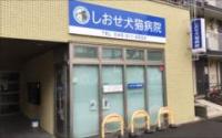 しおせ犬猫病院