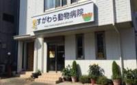 すがわら動物病院