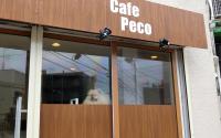 Cafe Peco　カフェペコ【店内わんちゃん同伴OK☆】〜溝ノ口〜