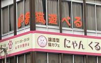 譲渡型猫カフェ　にゃんくる桜木町店～桜木町～