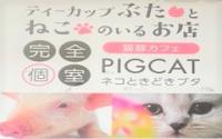 猫豚カフェPIGCAT（ピッグキャット）