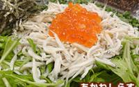 JPASTA横浜元町本店 ジェイパスタ【外のテラス席のみワンちゃん同伴OK☆】~石川町~