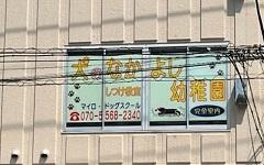 横浜ペットナビの検索結果イメージ