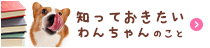 知っておきたいわんちゃんのこと