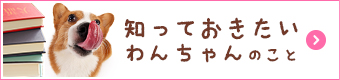 知っておきたいわんちゃんのこと