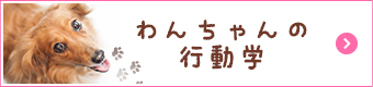 わんちゃんの行動学